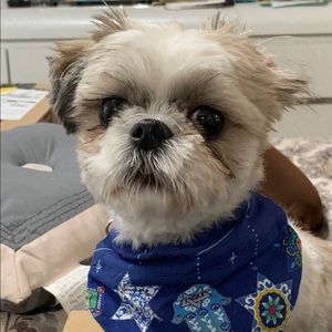 Meet your Posher, Tammy